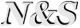 Logo de Net&Software